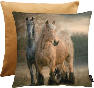 APELT, Apelt - Kissenbezug Pferde 46 cm x 46 cm, Mehrfarbig, APELT Dekokissen »2705«