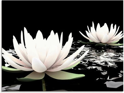 Artland, Artland Glasbild »Zwei Lotusblumen auf dem Wasser«, Artland Glasbild »Zwei Lotusblumen auf dem Wasser«, Blumen, (1 St.), in verschiedenen Grössen