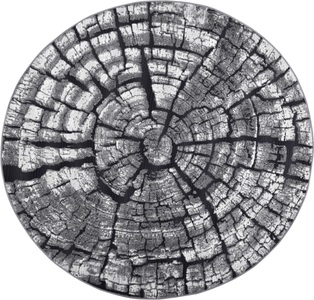 GINO FALCONE, Gino Falcone Teppich »Aurora GF-095«, rund, 5 mm Höhe, Holz Optik, ideal im Wohnzimmer & Schlafzimmer, Gino Falcone Teppich »Aurora GF-095«, rund, 5 mm Höhe, Holz Optik, ideal im Wohnzimmer & Schlafzimmer