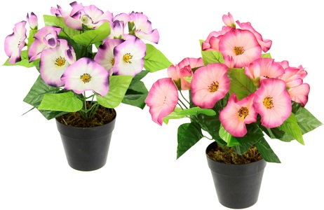 IGEA, I.GE.A. Kunstblume »Petunien«, Im Topf, 2er Set Petunien Zierpflanze Glockenblume klein Blumen Deko, I.GE.A. Kunstblume »Petunien«, Im Topf, 2er Set Petunien Zierpflanze Glockenblume klein Blumen Deko