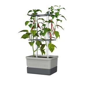 undefined, Pflanzkübel »Charly Chili«, Gusta Garden Anzuchttopf »hellgrau«, (1 St.)