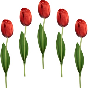 IGEA, I.GE.A. Kunstblume »Real Touch Tulpen«, (5 St.), 5er Set künstliche Tulpenknospen, Kunstblumen, Stielblume, I.GE.A. Kunstblume »Real Touch Tulpen«, 5er Set künstliche Tulpenknospen, Kunstblumen, Stielblume