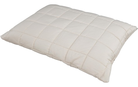 Albis, Albis - Kopfkissen CANNATUR-BIO KISSEN - off-white - Biobaumwolle - 50/70 cm, Albis Switzerland Naturfaserkissen, (1 St.)