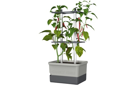 undefined, Pflanzkübel »Charly Chili«, Gusta Garden Anzuchttopf »hellgrau«, (1 St.)
