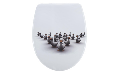 Diaqua, DIAQUA WC-Sitz NICE SLOW DOWN, diaqua® WC-Sitz »Duck mit Absenkautomatik, Weiss«