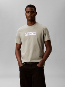 Calvin Klein, Calvin Klein T-Shirt Reine Baumwolle, Regular Fit, Glanzdruck