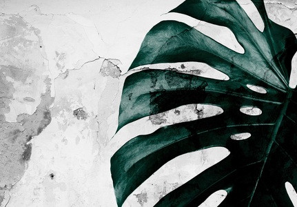 Consalnet, CONSALNET Vliestapete »Grüne Monstera Blume«, in verschiedenen Grössen, 