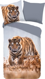 undefined, Good Morning Renforcé Wendebettwäsche Tiger, good morning Kinderbettwäsche »Tiger«, 100% Baumwolle