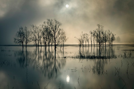 Papermoon, Papermoon Fototapete »Photo-Art JOANNE_FLJ, SEESTSSEE«, Vliestapete, hochwertiger Digitaldruck, inklusive Kleister, Papermoon Fototapete »Photo-Art JOANNE_FLJ, SEESTSSEE«