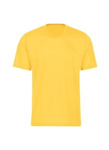 Trigema T-Shirt »TRIGEMA T-Shirt aus 100% Baumwolle«, (1 tlg.)