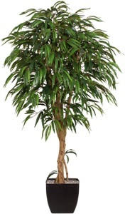 Creativ green, Creativ green Kunstpflanze »Weeping-Ficus«, (2 St.), Creativ green Kunstpflanze »Weeping-Ficus«