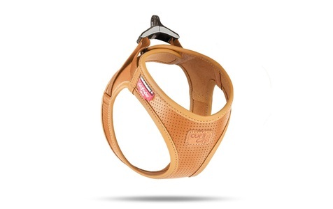 curli, curli Geschirr Apfelleder, 3XS, Braun, curli Geschirr Apfelleder, 3XS, Braun