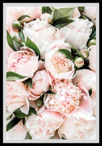 QUEENCE, queence Bild »Stefanie«, Blumen, gerahmt, Rosen, queence Bild »Stefanie«, Blumen, gerahmt, Rosen