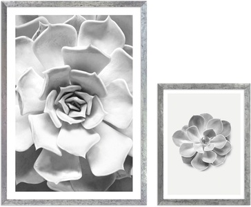 Komar, Komar Bild mit Rahmen »Succulent Aeonium«, (2 St.), Hochwertigen Echtholzrahmen. FSC zertifiziert, was eine nachhaltige Forstwirtschaft garantiert., Komar Bild mit Rahmen »Succulent Aeonium«, (2 St.), maschinell