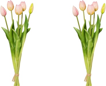 MY HOME, my home Kunsttulpe »Tulpenbund«, (2 St.), my home Kunsttulpe »Tulpenbund«