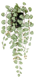 IGEA, I.GE.A. Kunstpflanze »Kunstpflanze Leuchterblume Hängende Pflanzen künstlich«, Hänger Busch Ranke Girlande Blumenampel Deko Grünpflanze Kunstblumen, I.GE.A. Kunstpflanze »Kunstpflanze Leuchterblume Hängende Pflanzen künstlich«, Hänger Busch Ranke Girlande Blumenampel Deko Grünpflanze Kunstblumen