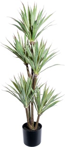 Creativ green, Creativ green Künstliche Zimmerpflanze »Dracaena draco«, (1 St.), im Topf, 
