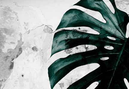 Consalnet, CONSALNET Vliestapete »Grüne Monstera Blume«, in verschiedenen Grössen, 