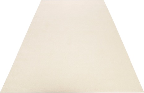 Teppich, »Campus«, Esprit, rechteckig, Höhe 17 mm, maschinell getuftet
