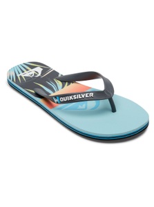 QUIKSILVER, Quiksilver Sandale »Molokai Panel«, 