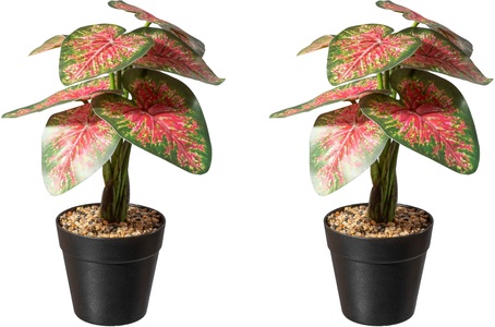 Creativ green, Creativ green Künstliche Zimmerpflanze »Dracaena draco«, (2 St.), im Topf, 
