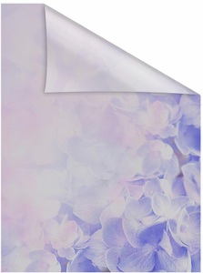 LICHTBLICK ORIGINAL, LICHTBLICK ORIGINAL Fensterfolie "Hortensie" 1 Stk. blickdicht strukturiert Klebepunkte selbstklebend, Sichtschutz