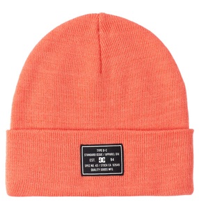 DC SHOES, DC Shoes Beanie »Label«, 