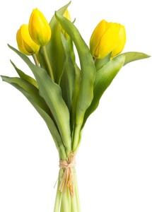 DELAVITA, DELAVITA Kunstblume »Willa«, (Set, 7 St.), Tulpenbündel im 7er-Set, Botanic-Haus Kunstblume »Willa«, Tulpenbündel im 7er-Set