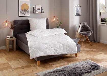 undefined, Traumecht Kunstfaserbettdecke »Mondschein«, normal, Füllung Polyester, Bezug Polyester oder antibakteriellen Microfaser, (1 St.), Bettdecke (warm) mit Microfaserbezug wurde von Hohenstein mit Klimakomfort 