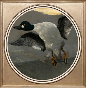 undefined, Acrylglasbild »Gans«, queence Acrylglasbild »Gans«