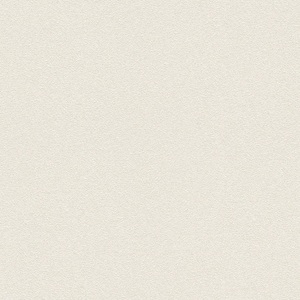 RASCH, Vliestapete »Passepartout«, Rasch, uni (1-tlg.), Rasch Vinyltapete »Passepartout«, uni-Steinoptik