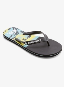 QUIKSILVER, Quiksilver Sandale »Molokai Panel«, 