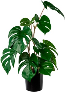 Creativ green, Creativ green Künstliche Zimmerpflanze »Dracaena draco«, (1 St.), im Topf, 