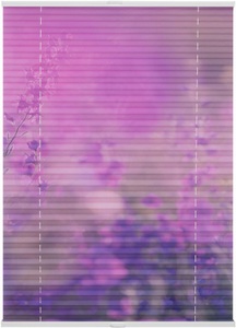 LICHTBLICK ORIGINAL, LICHTBLICK ORIGINAL Plissee »Klemmfix Motiv Blumenwiese«, Lichtschutz, ohne Bohren, verspannt, LICHTBLICK ORIGINAL Plissee »Klemmfix Motiv Blumenwiese«, Lichtschutz, ohne Bohren, verspannt, Faltenstore