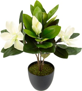 IGEA, I.GE.A. Kunstblume »Magnolie«, Im Topf Magnolienbusch künstlich Frühling Seidenblumen Raumdeko, I.GE.A. Kunstblume »Magnolie«, Im Topf Magnolienbusch künstlich Frühling Seidenblumen Raumdeko