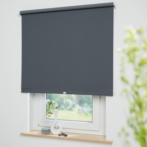 LIEDECO, Liedeco Springrollo »Uni«, verdunkelnd, mit Bohren, freihängend, Rollowelle 36 mm, starke Feder, Liedeco Springrollo »Uni«, verdunkelnd, mit Bohren, freihängend, Rollowelle 36 mm, starke Feder