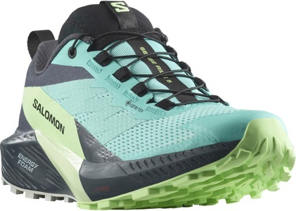 Salomon, Salomon Damen Sense Ride 5 GTX Schuhe, Sense Ride 5 GTX Trailrunningschuhe
