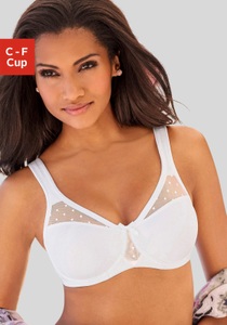 Nuance, Nuance Minimizer-BH
