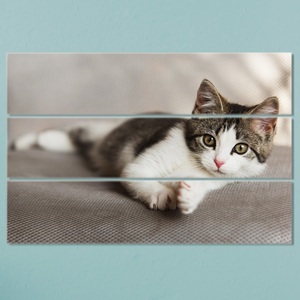 smartphoto, Foto auf Holzlatten 75 x 48.8 cm, 