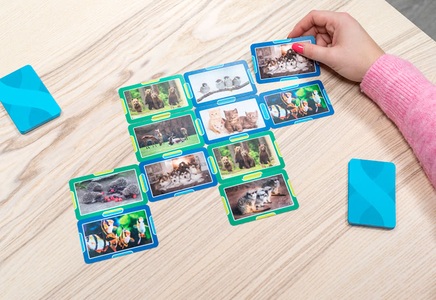 smartphoto, Vier in einer Reihe-Karten, 