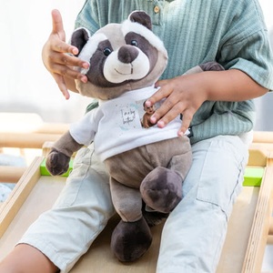 smartphoto, Kuscheltier Waschbär mit Foto-Shirt, Kuscheltier Waschbär mit Foto-Shirt