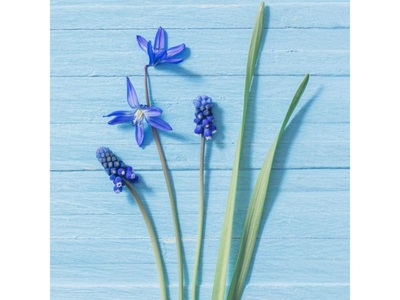 Paper + Design, Paper + Design Paper + Design Servietten Blue, 