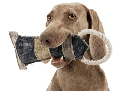 Trixie, Trixie Hunde-Spielzeug BE NORDIC, 