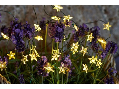 Sirius, Sirius LED-Weihnachtslichterkette Trille, LED-Lichterkette Trille, 40-flammig, Kabel grün