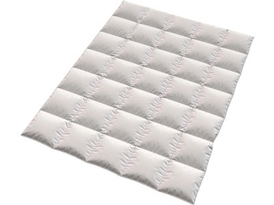 KAYS, Duvet «Plumes» 240 x 240 cm, 2000 g