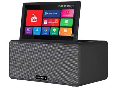 ZICPLAY, ZICPLAY ZIC-KAR-6565 (+2 Mics) Bluetooth-Karaoke-Lautsprecher, Schwarz