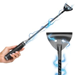 Zeus Electrosex, E-Stim Paddle