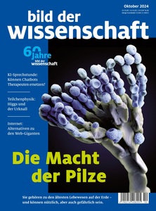 undefined, bild der wissenschaft Jahresabo, 