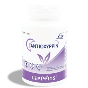 LEPI VITS BELGIUM, Leppin Antioxyppin, 