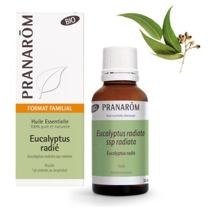 PRANAROM INTERNATIONAL SA, Pranarom Ätherisches Öl Eukalyptus radiata, Pranarom Ätherisches Öl Eukalyptus radiata
